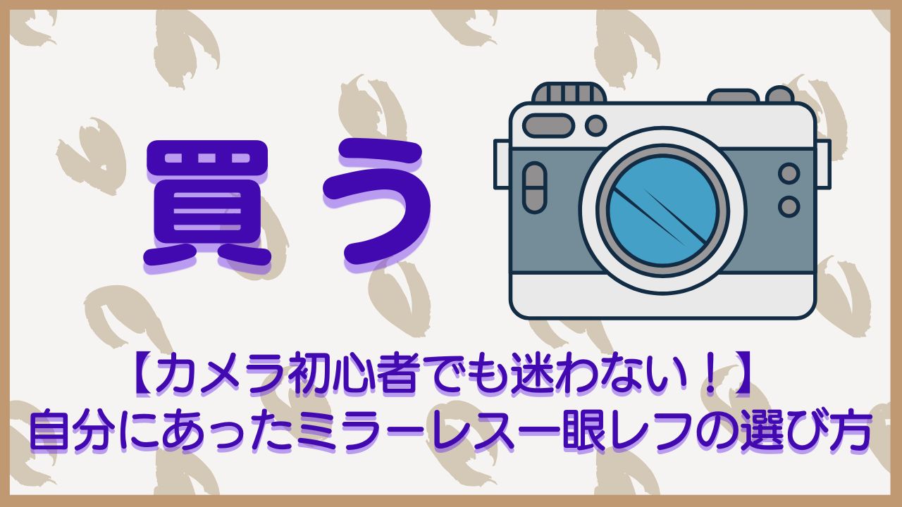 カメラ初心者でも迷わない！】<br>自分にあったミラーレス一眼レフの選び方